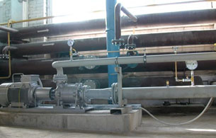 EDUR LPG type pump application